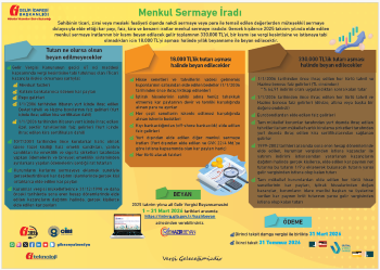 uploaded-image